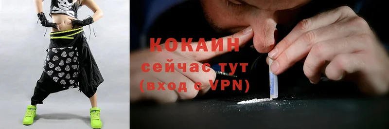 Cocaine FishScale  маркетплейс официальный сайт  Дегтярск 